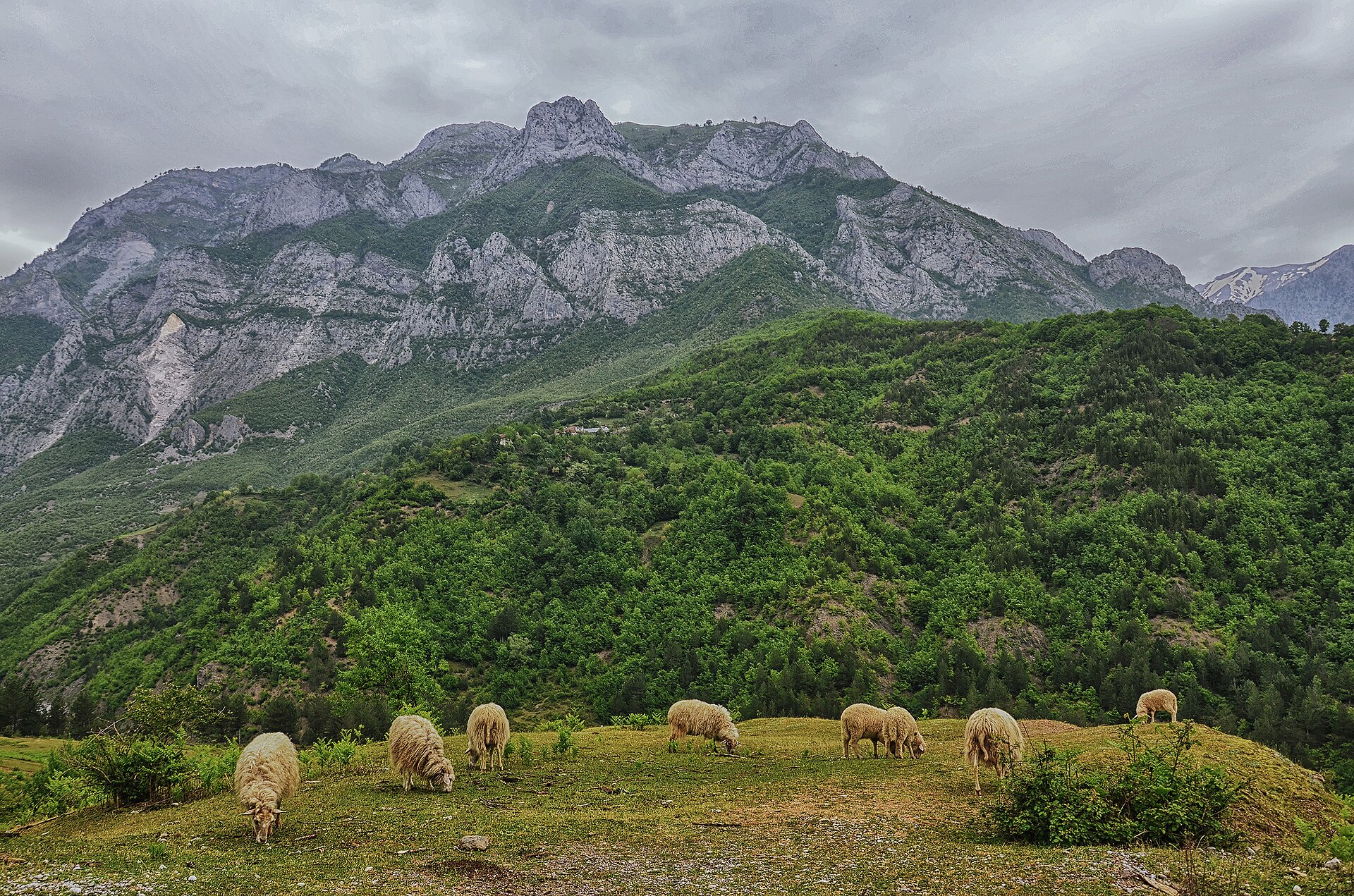 Kullota dhe male mbi Lekbibaj